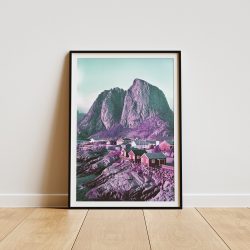 Photos